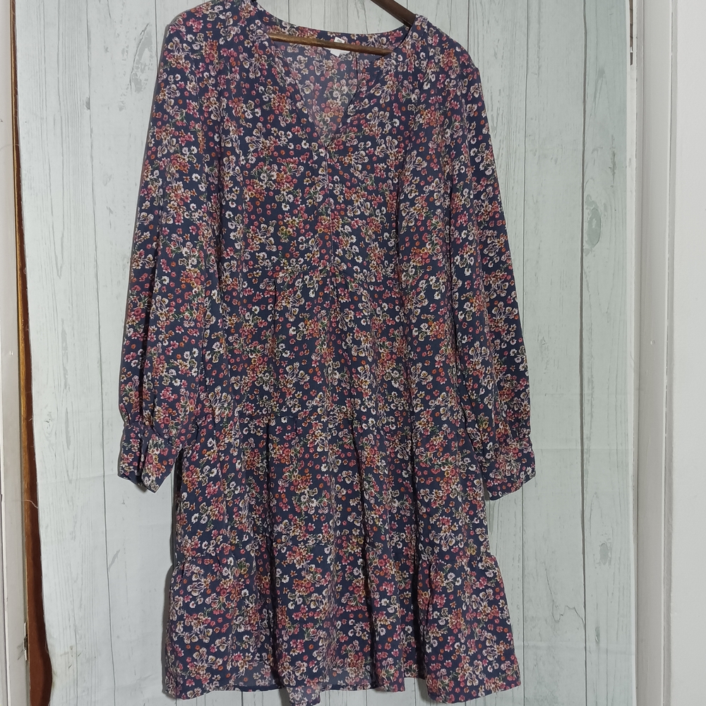 Time and Tru Blue Floral dress
